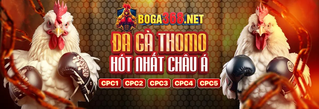 Đội ngũ chuyên gia của bongvip2 nhà cái